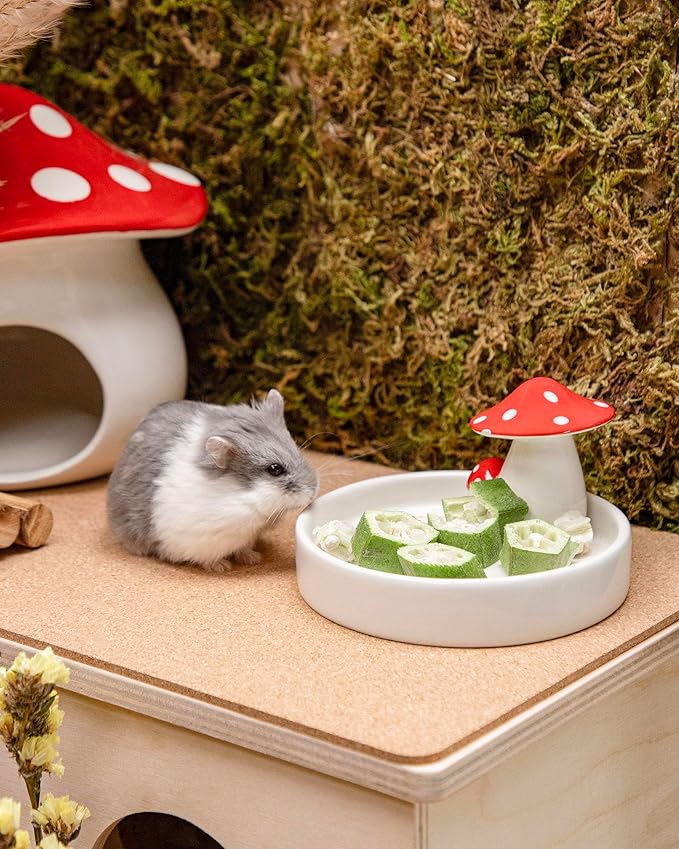 Niteangel Hamster Snack & Treats Toy 0.2oz (5.5g))