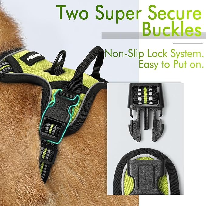 rabbitgoo Dog Harness 2 Leash
