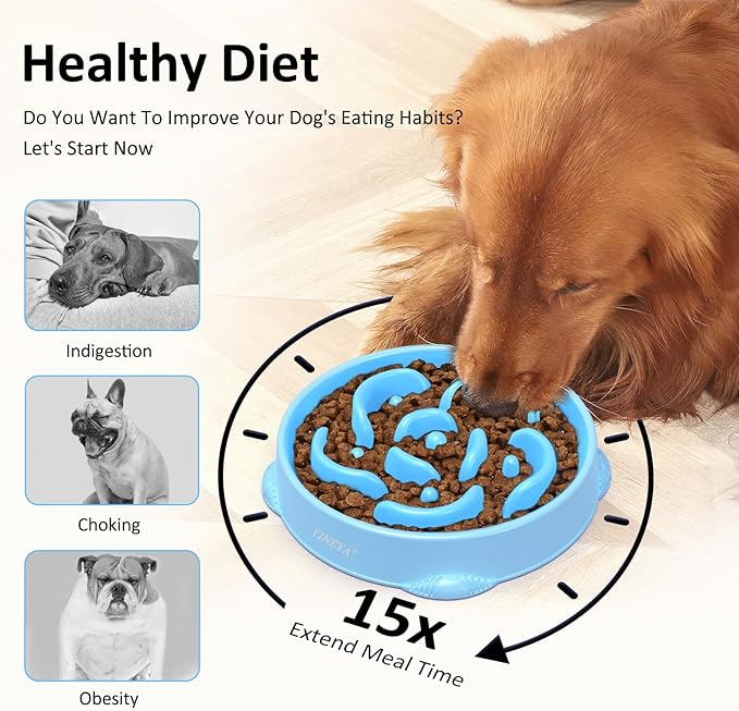 4 Cups Pet Food Bowls for Large Dogs 2Pcs Light