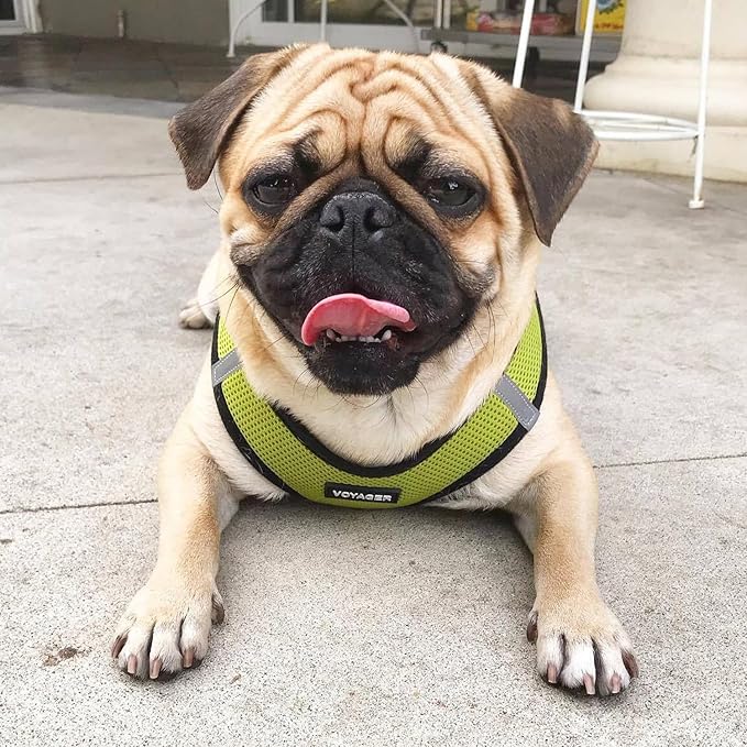Voyager Step-in Air Dog Harness 14.5-16")