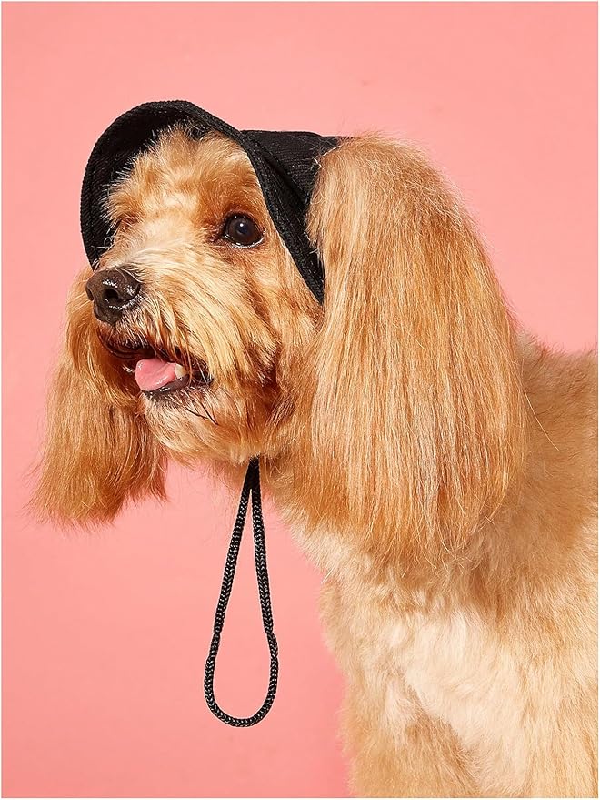 Generic Solid Dog Hat with Ear Hole Round Brim Dog Puppy Cat Sun Hat Bucket Hat Outdoor Sun Protection Pet Caps for Small Medium Cats Dogs Kitten Black Large