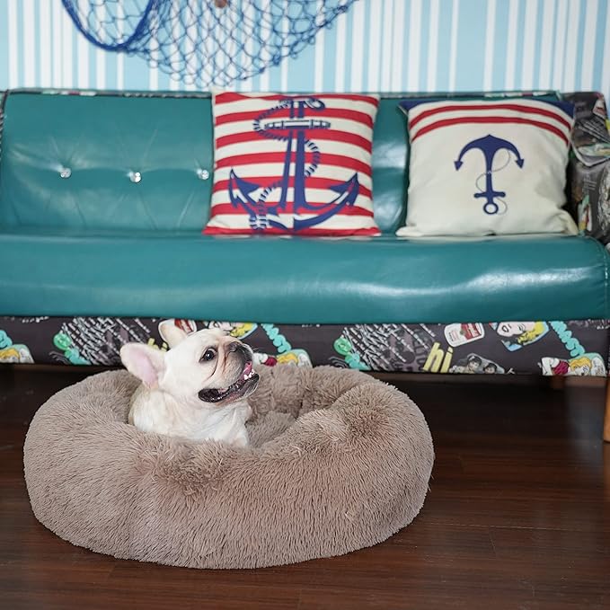 nononfish Puppy Beds for Small Dogs Washable 23 Inches