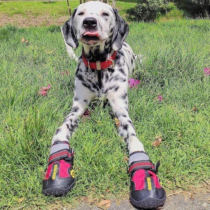 QUMY Dog Shoes for Large Dogs, Medium Dog Boots & Paw Protectors for Winter Snowy Day, Summer Hot Pavement, Waterproof in Rainy Weather, Outdoor Walking, Indoor Hardfloors Anti Slip Sole Red Size 8
