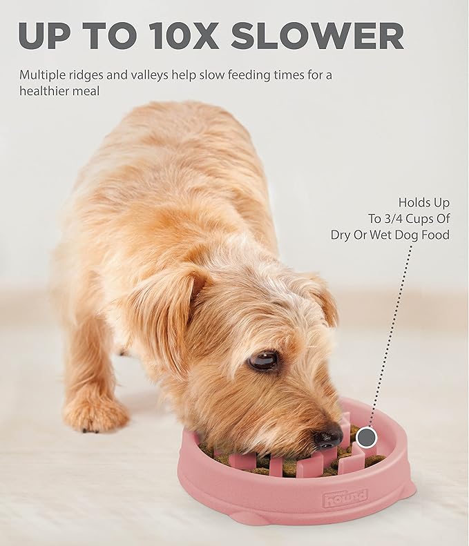 Outward Hound Fun Feeder Slo Bowl