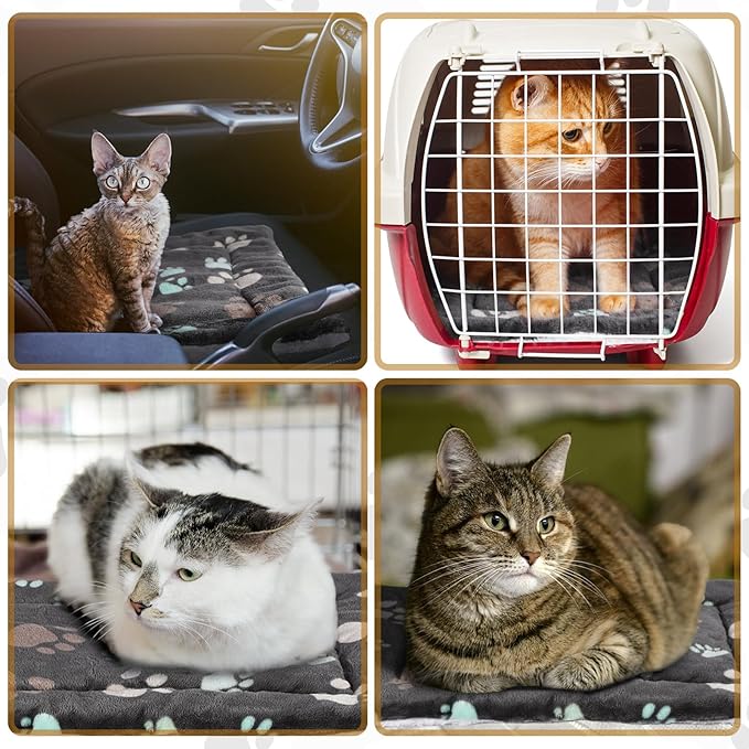 4 Pack Ultra Soft Dog Cat Bed Mat with Cute Prints Reversible Fleece Dog Crate Kennel Pad Cozy Washable Thickened Hamster Guinea Pig Bed Pet Bed Mat for Small Animals (Black 23 x 18 Inches)