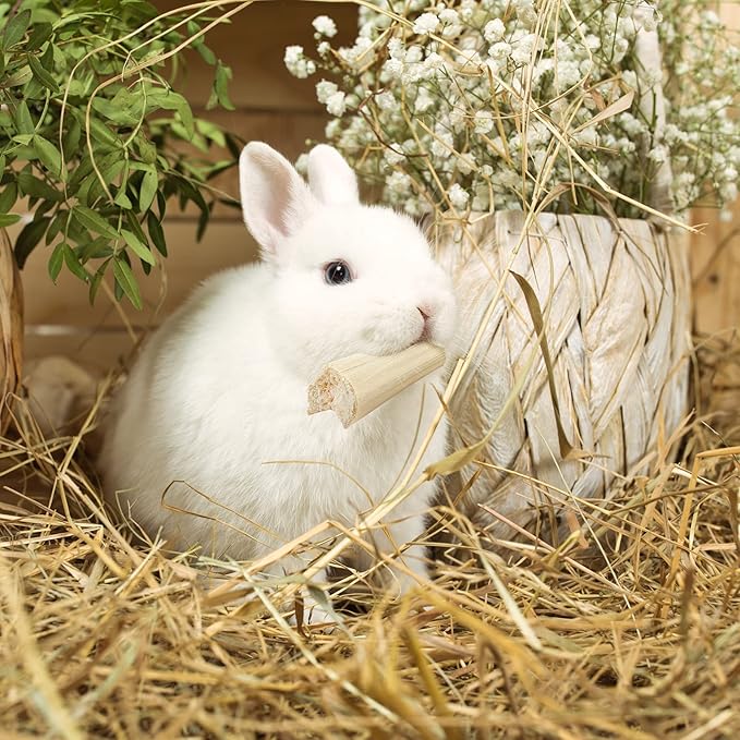 Niteangel Natural Bamboo Chew Toys for Rabbits