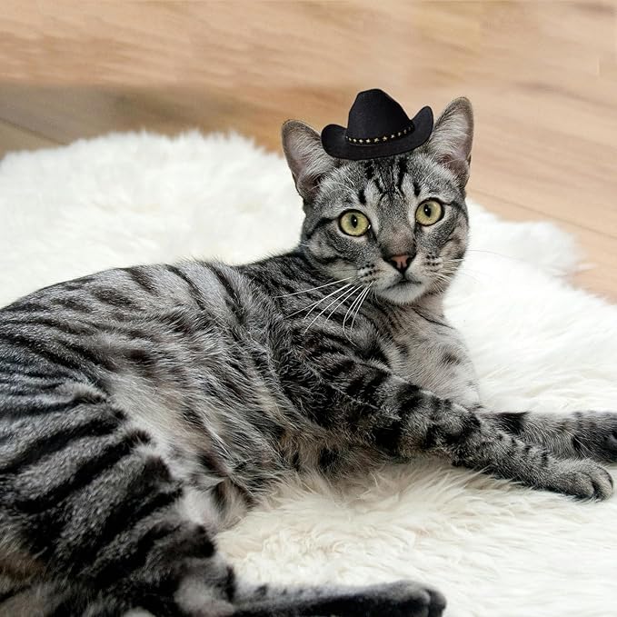 Dog Cowboy Hat Cat Cowboy Hat Mini Cowboy Hat for Dogs Cat Pet Cowboy Costume with Bandana Scarf Holiday Halloween Pet Party Decoration (black
