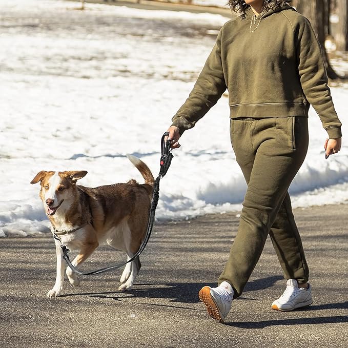 Dog Cat Safety Seat Belt Strap Car Headrest