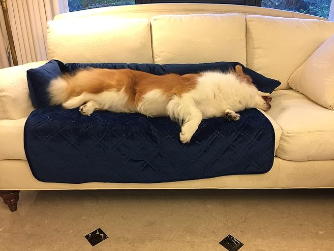 Brilliant Sunshine Premium Blue Silky Velvet Pet Sofa Bed