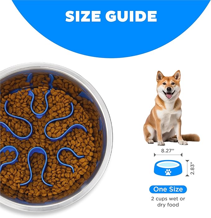 Outward Hound Fun Feeder Stainless Steel Slo Bowl Slow Feeder Stainless Steel Dog Bowl with Slow Feeder Insert