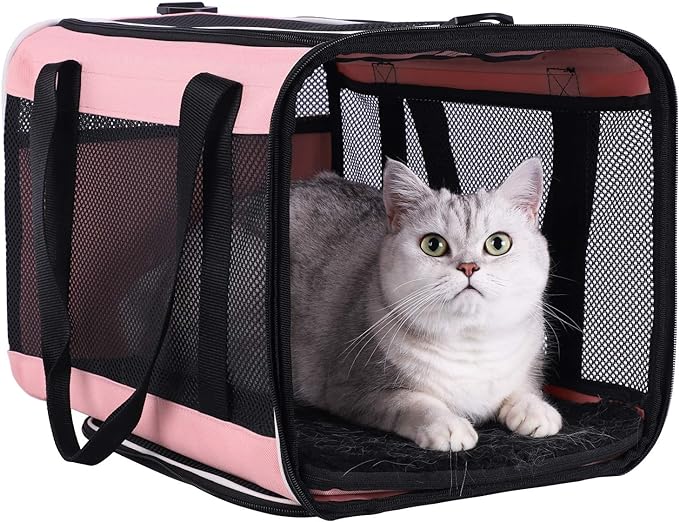 Top Load Pet Carrier for Large and Medium Cats