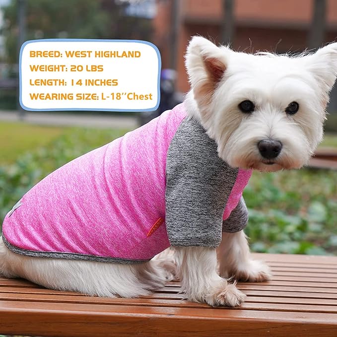 KYEESE 2 Pack Dog Shirts Quick Dry Raglan