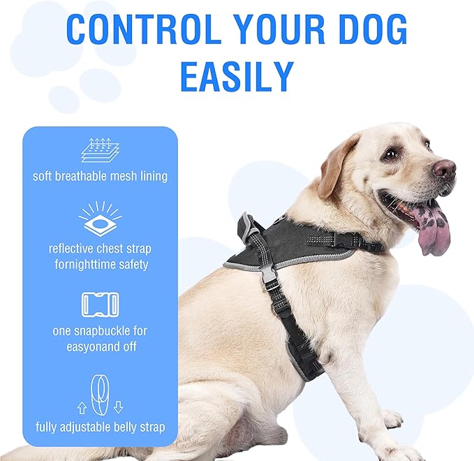 Tactical Dog Harness for Large Dogs