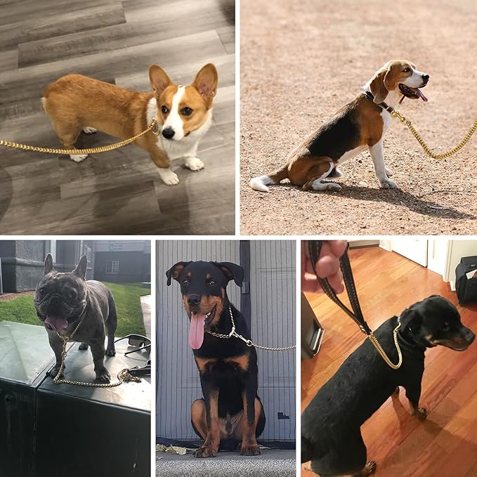 5 Foot Dog Leash 5FT)