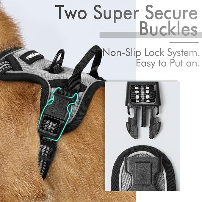 rabbitgoo Dog Harness 2 Leash