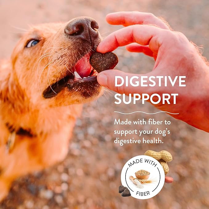 Shameless Pets Soft-Baked Dog Treats 1-Pack