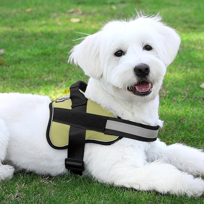 Bolux Dog Harness