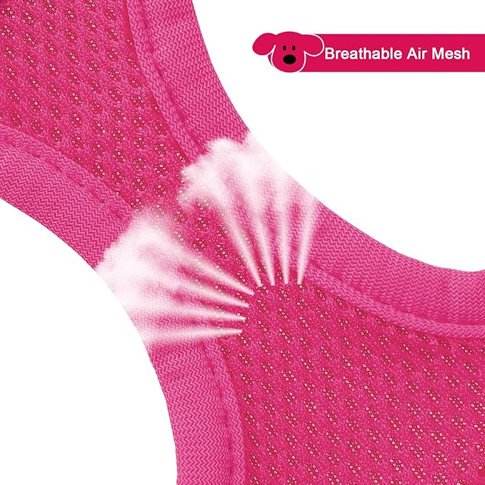 YIMEIS Dog Harness and Leash Set 1)