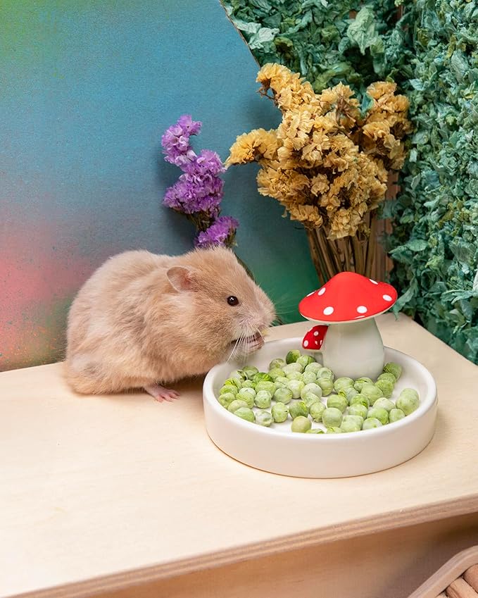 Niteangel Hamster Snack & Treats Toy 1.4oz (40g))