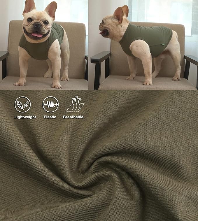 Dog Plain Shirts