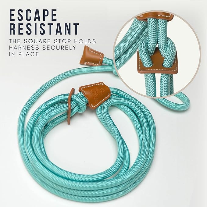 Mini Pig Harness & Leash (S/M) Fully Adjustable