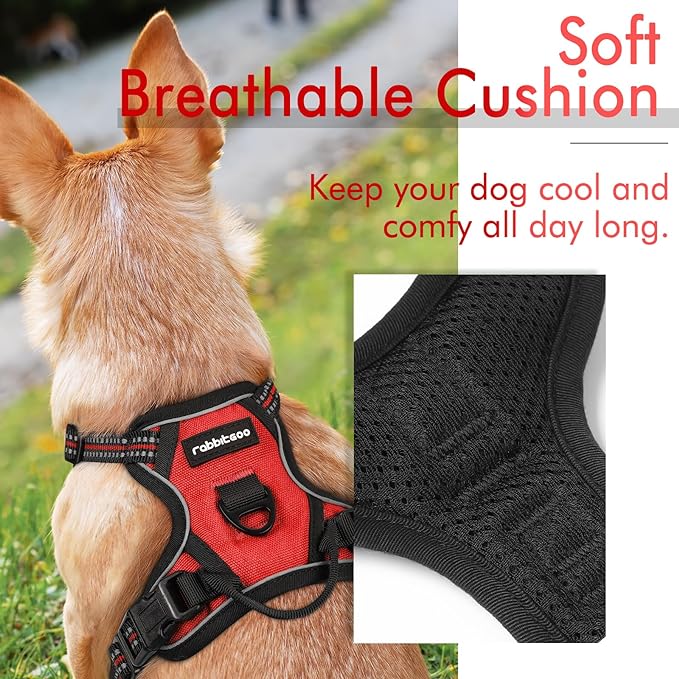 rabbitgoo Dog Harness 2 Leash