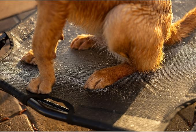 Momarsh Elevated Dog Cot with Washable Soft Pad & Folding Frame for Travel & Home Use