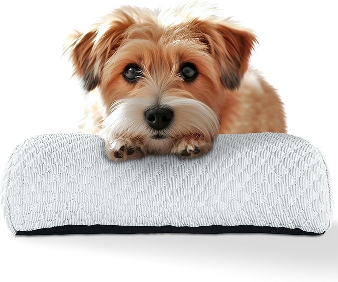HOMBYS Cooling Dog Claming Pillow for Large and Medium Dogs Toy(17"x8", Light