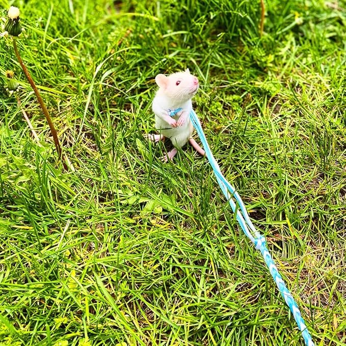 3 Pack Adjustable Hamster Leash Harness for Chinchilla