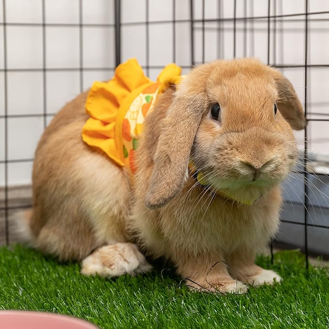 Rabbit Harness and Leash for Walking Escape Proof