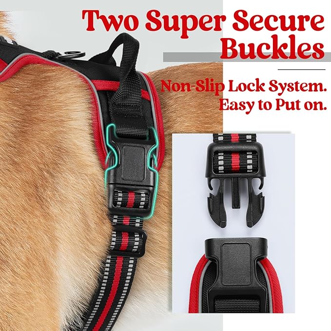 rabbitgoo Dog Harness 2 Leash