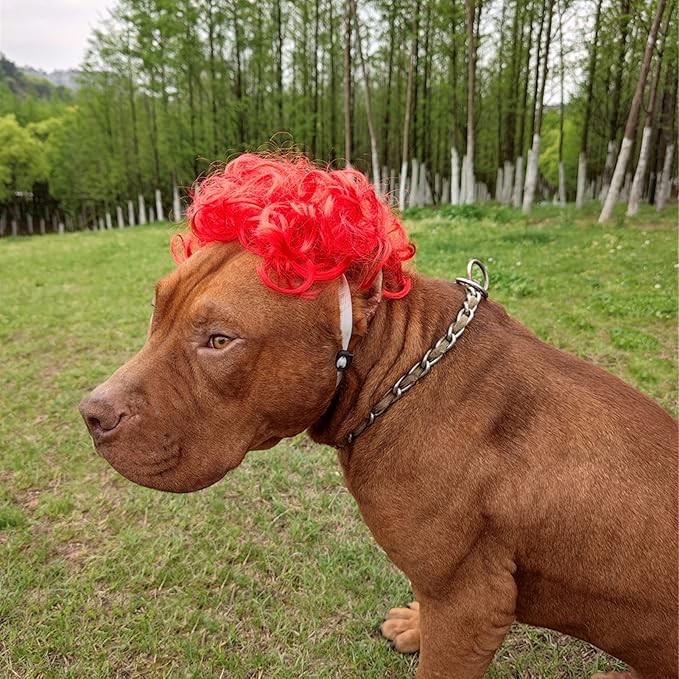 Funny Dog Cat Cosplay Wig