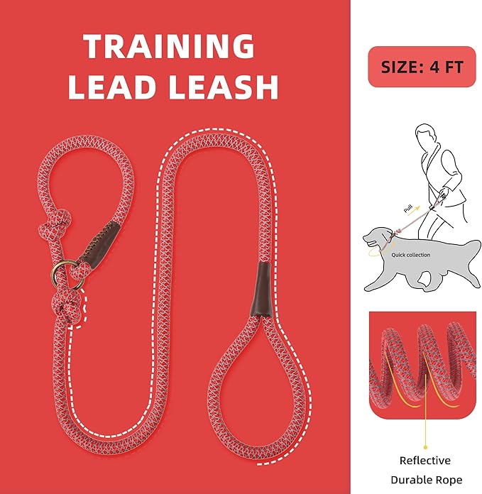 Mile High Life Slip Leads for Dogs 4 Feet