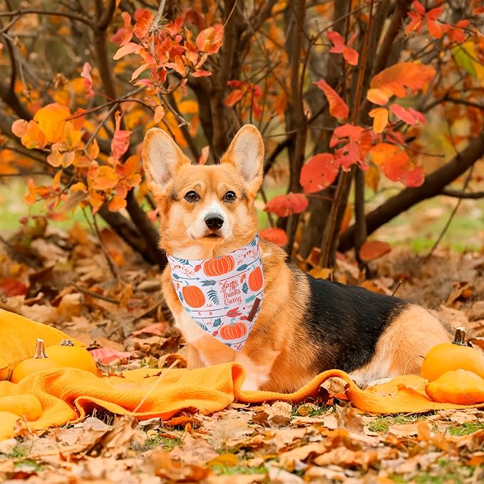 ADOGGYGO Thanksgiving Dog Bandana