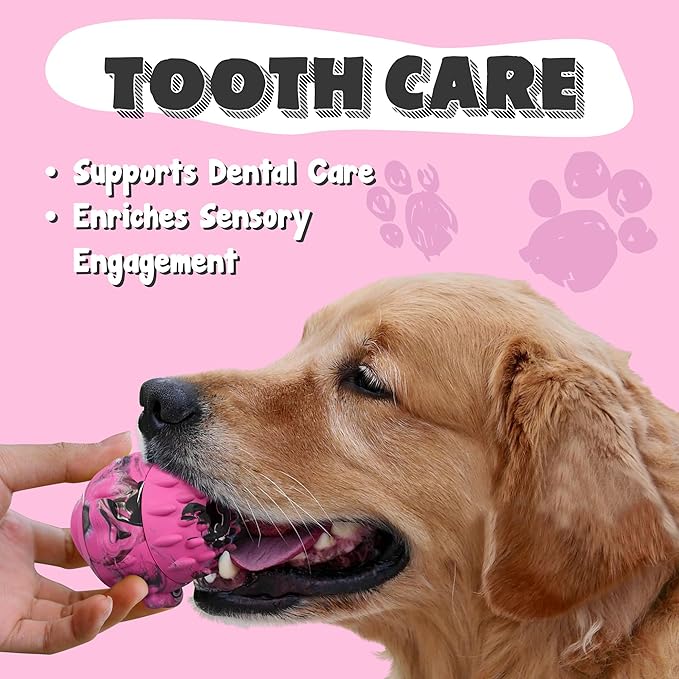 4-In-1 Interactive Frozen Dog Toy Treat