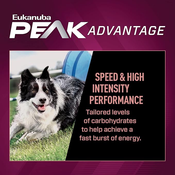Eukanuba Premium Performance 21/13 Sprint Adult Dry Dog Food, 28 lb. Bag