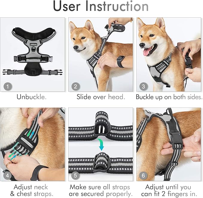rabbitgoo Dog Harness 2 Leash
