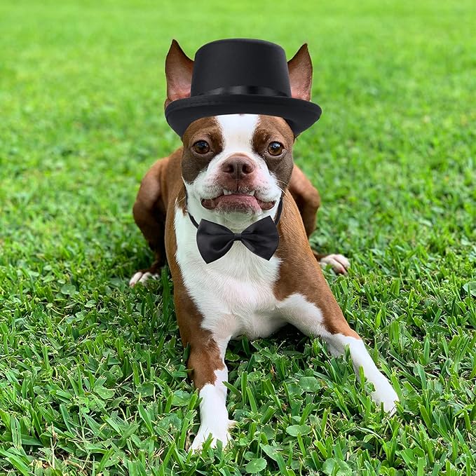 Yewong 2 Pieces Pet Formal Accessories Set