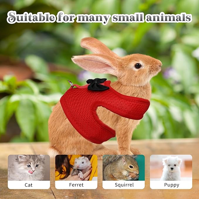 AIITLE Rabbit Harness and Leash Set with Cute Bow