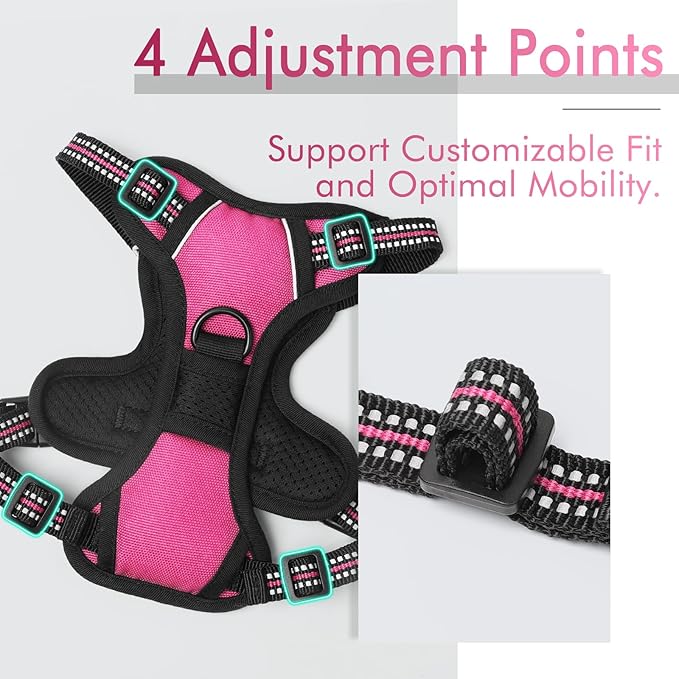 rabbitgoo Dog Harness 2 Leash