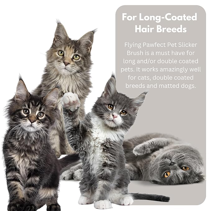 Pet Slicker Brush With Soft Massage Grooming Stainless Steel Pins