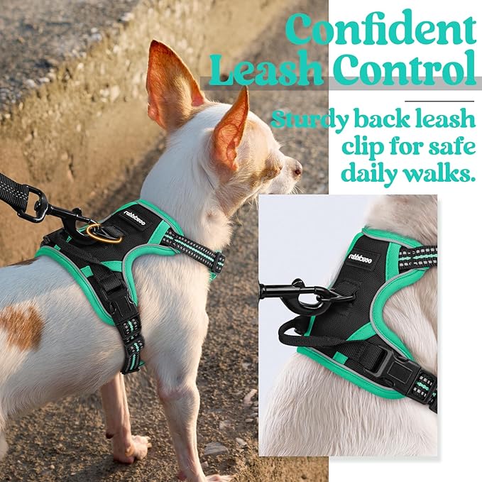 rabbitgoo Dog Harness 2 Leash