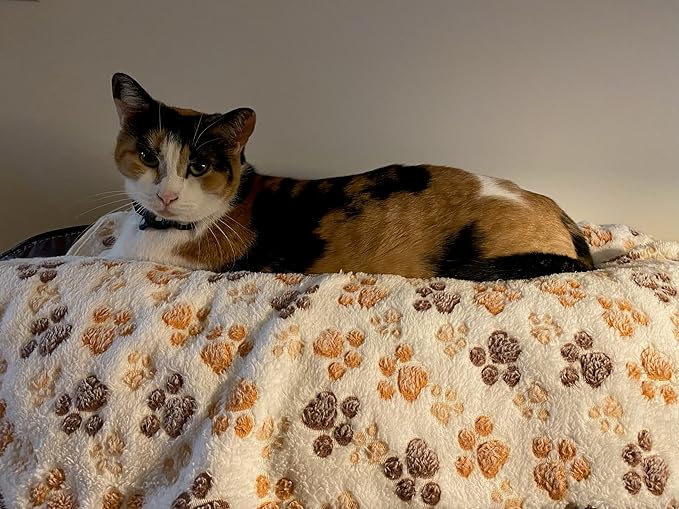 Pet Blankets The Value Pack: 3 Cozy Blankets for All Indoor Pets