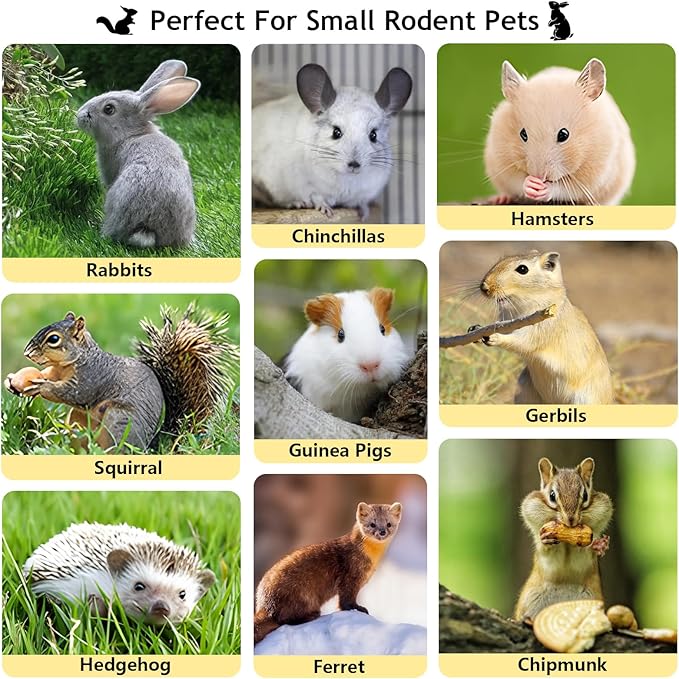 600g Organic Apple Sticks Small Animals Molar Wood Treats Toys for Chinchillas Guinea Pig Rabbits Hamster Gerbil Parrot Bunny Chew Stick Toys 21.2 OZ