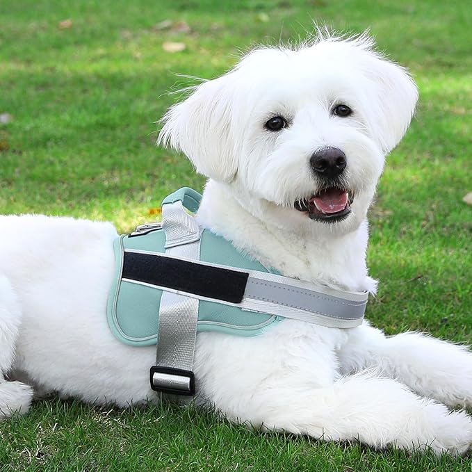 Bolux Dog Harness