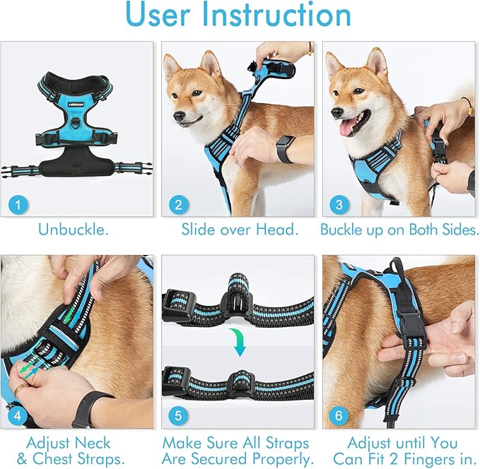 rabbitgoo Dog Harness 2 Leash