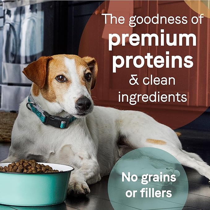 Canidae PURE Limited Ingredient Premium Adult Dry Dog Food, Lamb and Pea Recipe (New look- Real Lamb and Sweet Potato Recipe), 12 Pounds, Grain Free