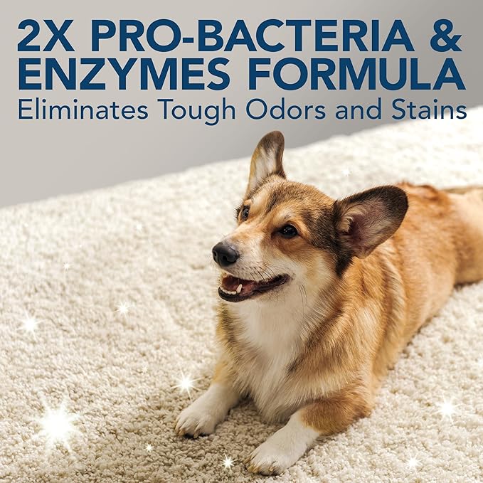 Simple Solution Stain and Odor Eliminator Spray for Dogs & Cats 2X Pro-Bacteria 1 Gallon