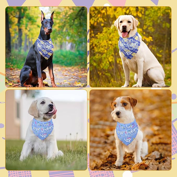 Dog Birthday Bandana X-Large Reversible Multi Size Offered for Dog Birthday Boy