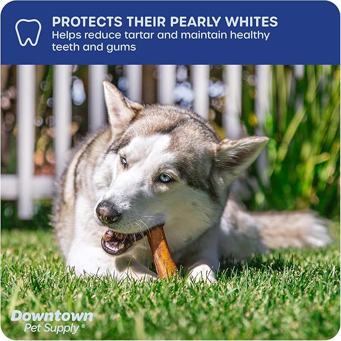 Downtown Pet Supply USA Sourced 6" 1 Lb.